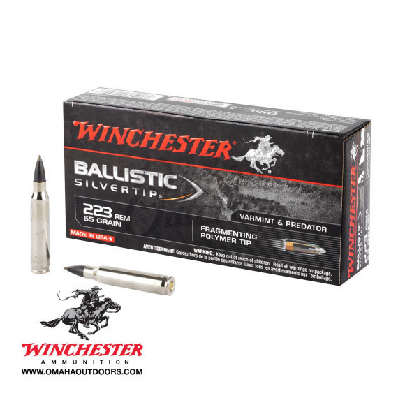 Winchester 223 Ballistic Silvertip in 55gr